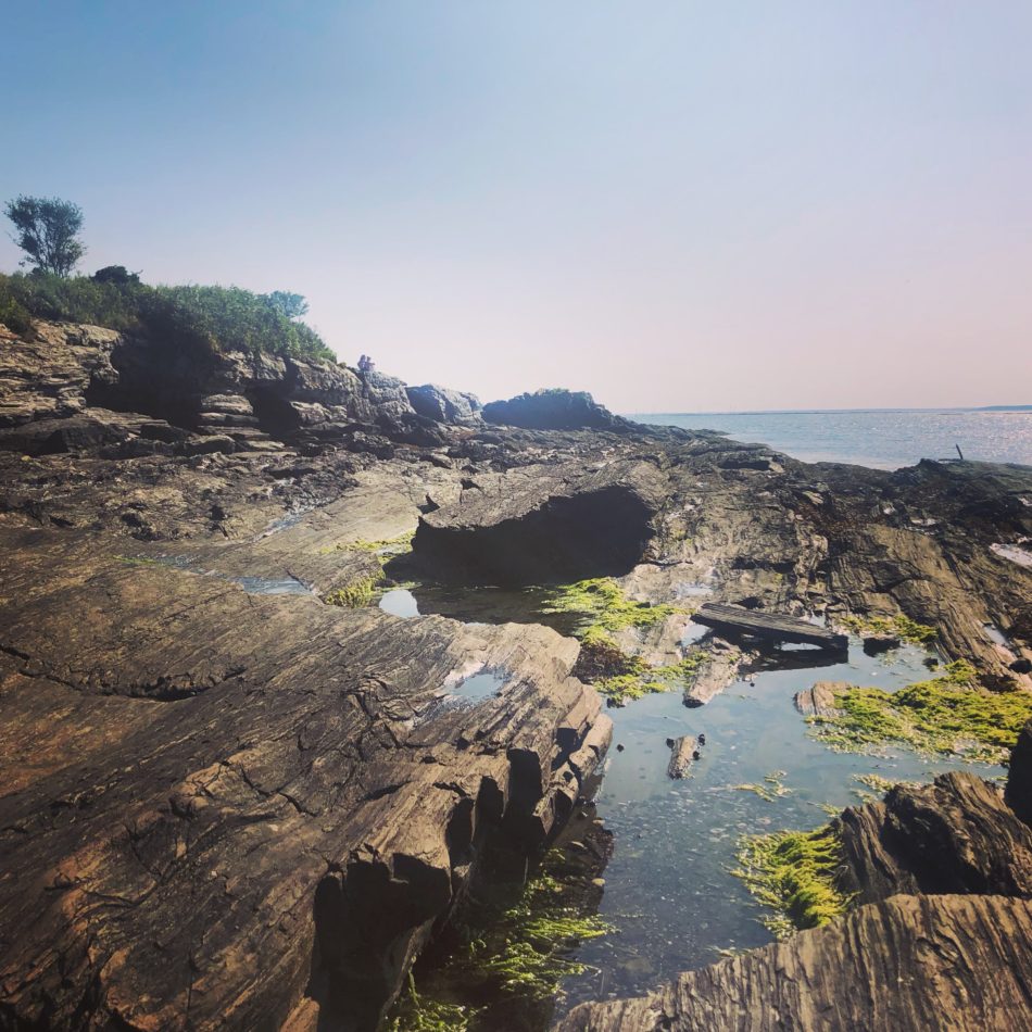 kettle cove, month two in maine